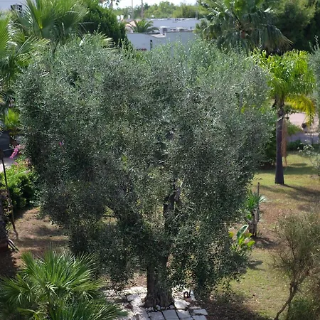 Scialì